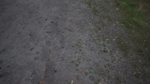 gimbal pan shot of merced river landscape