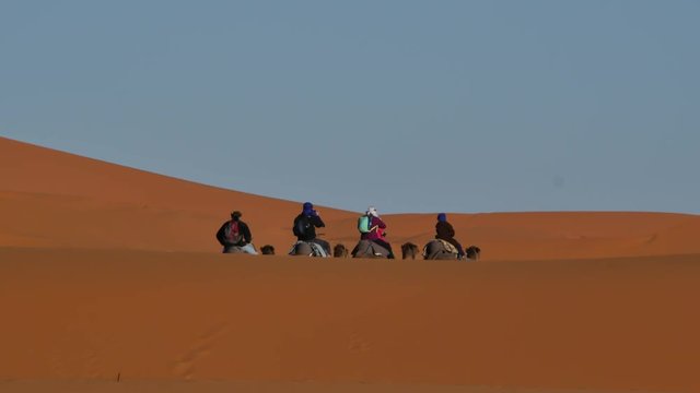 Dromedary walking with tourists in Moroccan Sahara desert with sand dunes in the background &ndash; 4K