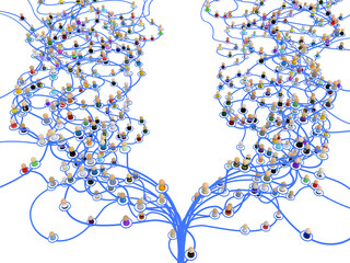 Cartoon Layered Network Split