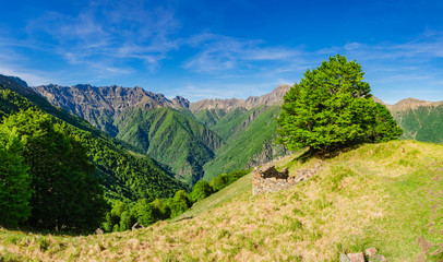 Val Pogallo as seen from Alpe Leciurt, in Valgrande National Park