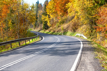 Asphalt road between colorful trees.Forest of autumn trees with colorful leaves in the sun