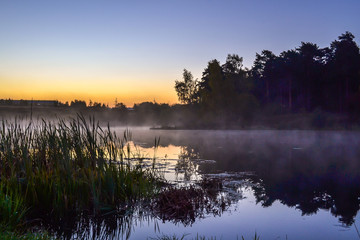 Early morning. Silhouettes of reeds near a forest lake. Fog over the water.