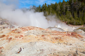 Norris geyser basin