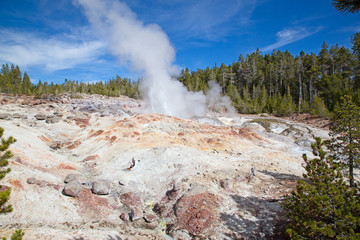 Norris geyser basin