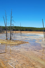 Lower geyser basin