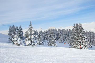 Winter in alps