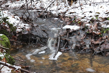 Water