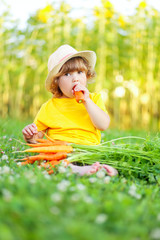 Cute little girl sitting on a green grass eating carrot.