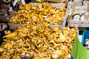 pfifferlinge pfifferling pilz pilze markt marktplatz