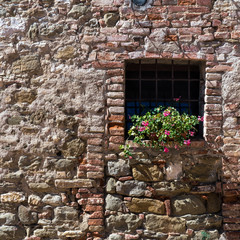 Medieval wall window