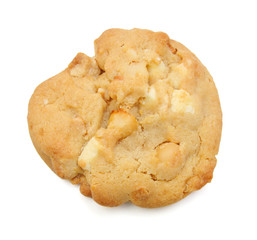 Small stack of macadamia nut and white chocolate cookies. 