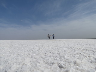 salar 