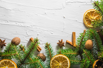 Christmas white background fresh twigs conifer tree dried citruses place text