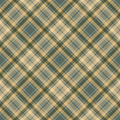 Diagonal fabric texture check plaid seamless pattern