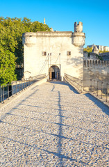 Fototapeta premium Architectures and monuments of Avignon
