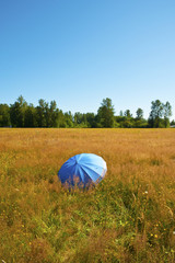Umbrella in Field