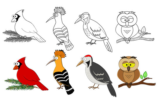 Coloring page set with different birds