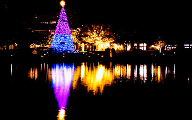Christmas tree is decorated with light, standing besides a lake