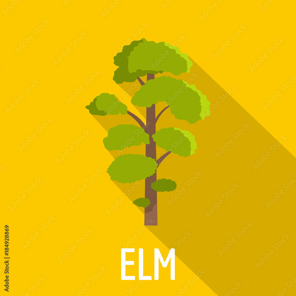 Poster elm tree icon. flat illustration of elm tree vector icon for web