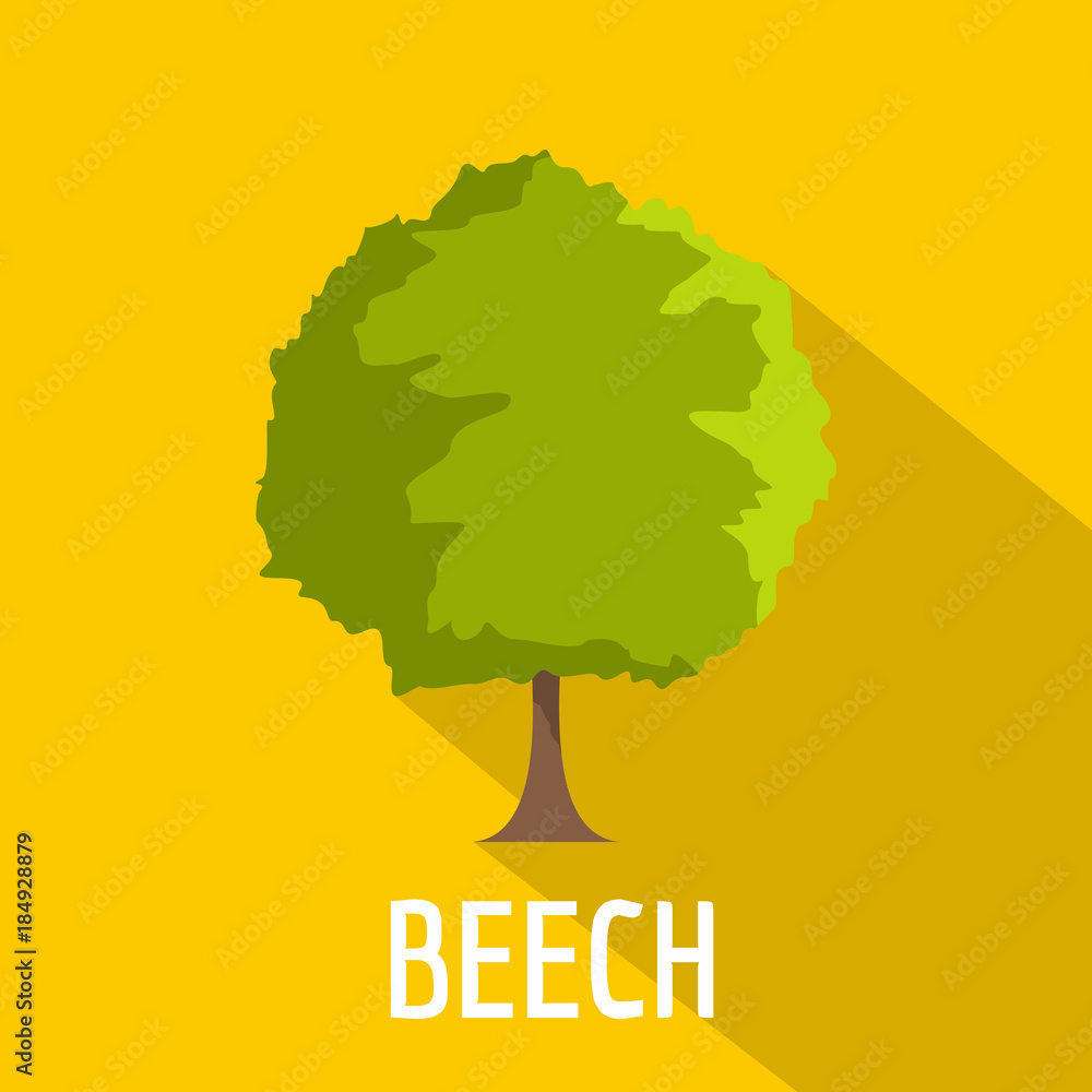 Aufkleber beech tree icon. flat illustration of beech tree vector icon for web