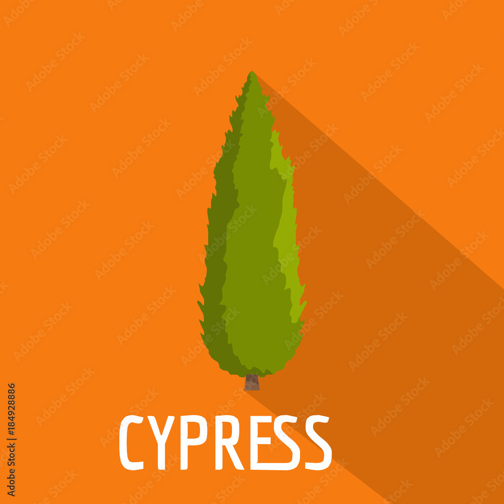 Poster cypress tree icon. flat illustration of cypress tree vector icon for web