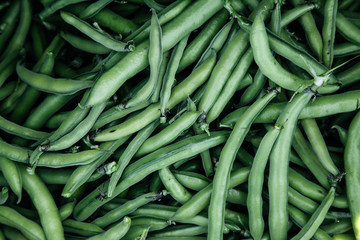 Freshly picked beans.