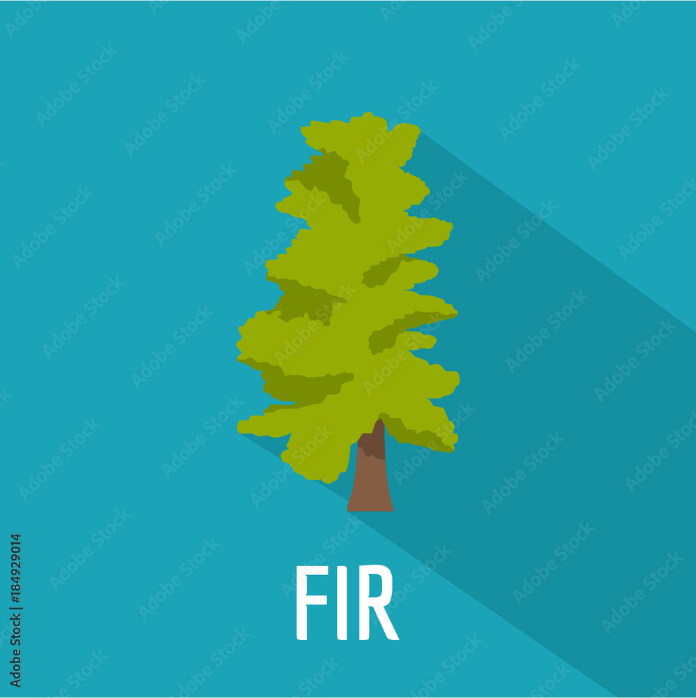 Poster fir tree icon. flat illustration of fir tree vector icon for web