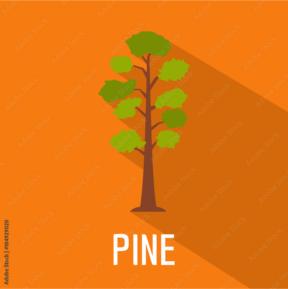 Poster pine tree icon. flat illustration of pine tree vector icon for web