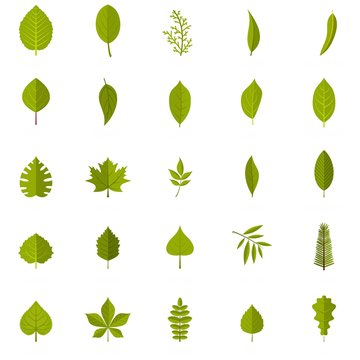 Leaf icons set. Flat illustration of 25 leaf vector icons isolated on white background