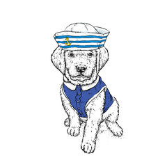 A beautiful dog in sailor clothes. Vector illustration. Animal in clothes and accessories. A sailor in a cap and tie. Purebred puppy.