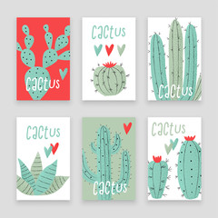 Cactus plant - 184932090