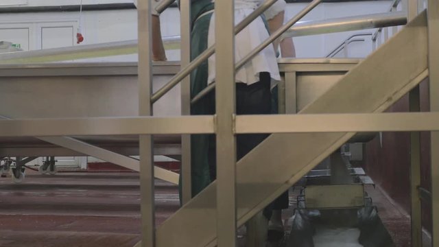 Cheese factory, excess liquid drains out into container