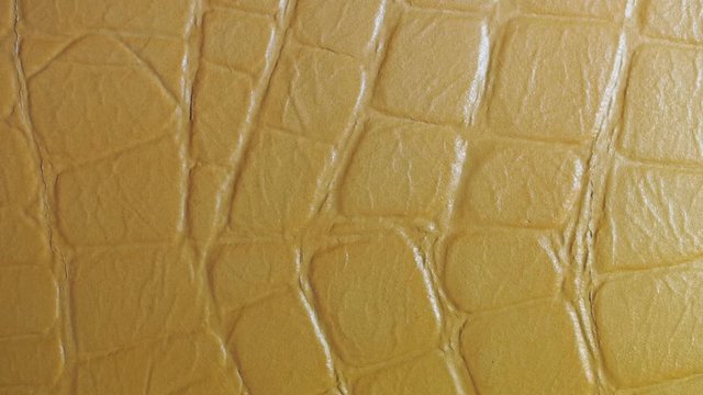 Structure, texture and surface pattern of crocodile skin. Light moves around the sample. Macro. Closeup 

