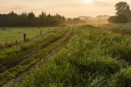 Hiking the GR5 trail in the Benelux