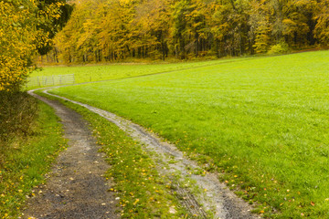 Hiking the GR5 trail in the Benelux
