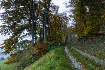 Hiking the GR5 trail in the Benelux