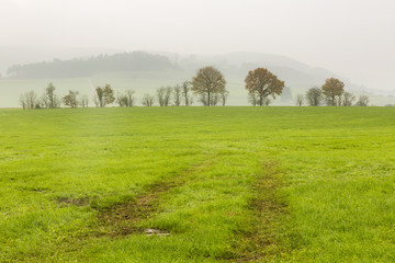 Hiking the GR5 trail in the Benelux