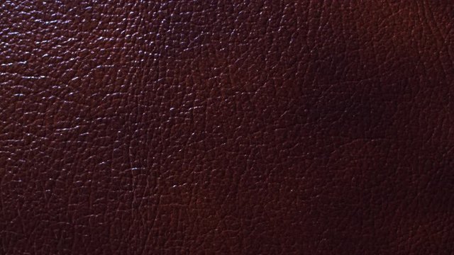 Structure, texture and surface pattern of brown skin. Light moves around the sample. Macro. Closeup 
