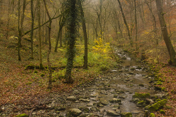 Fototapeta premium Hiking the GR5 trail in the Benelux