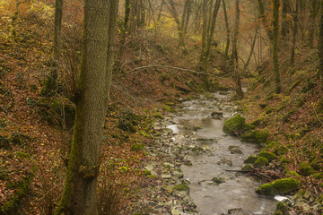 Hiking the GR5 trail in the Benelux