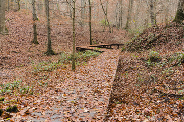 Hiking the GR5 trail in the Benelux