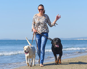 woman and dogs on the beach