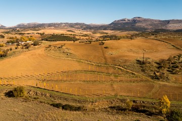 Landschaft in Andalusien - Umgebung Ronda 
