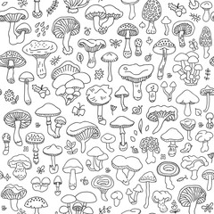 Vector seamless pattern with mushrooms. Autumn forest. Texture for wallpaper, fills, web page background.