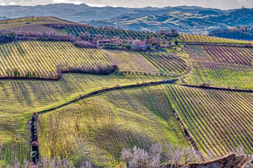 cultivated fields in badlands