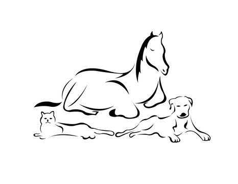 Illustration of three domesticated animals, a cat, a dog, and a horse