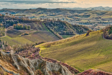 cultivated fields in badlands