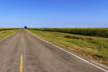 Long empty country road in rural Texas along a cornfield; Concept for travel in Texas, USA