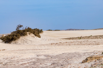 Fototapeta na wymiar Desert landscape at Atalanta Beach, Boa Vista Cape Verde
