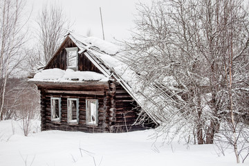 Abandoned old wood house into snowed forest